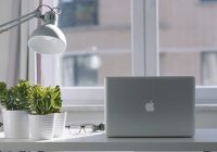 Featured image for what home businesses are the most profitable